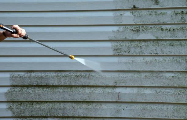 Best Driveway Pressure Washing  in La Crosse, WI