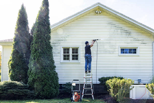 Pre-Holiday Cleaning in La Crosse, WI